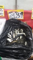 IMG-20181221-WA0097.jpeg