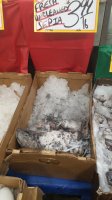 IMG-20181221-WA0093.jpeg