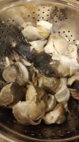 IMG-20181222-WA0056.jpeg