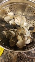 IMG-20181222-WA0061.jpeg
