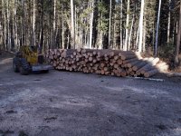 20181207_123911.jpg