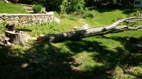 IMG_20170518_103204294.jpg