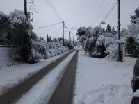 IMG_20190108_101637.jpg