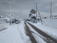 IMG_20190108_101645.jpg