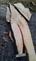 20161205_162418.jpg