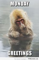 Mondaymonkey.jpg