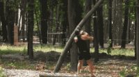 trees-bite-back-20-gifs-11.gif