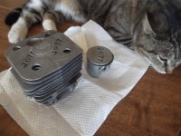 p475j2077nos.JPG