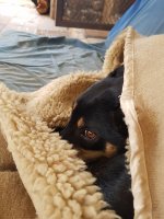 20180723_092330.jpg