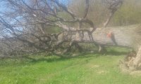 20170507_095335.jpg