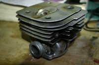 _1060710.JPG