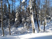 IMG_20190213_152245609.jpg