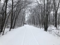 3E3B4782-B948-4CD5-8642-5F02F57EC284.jpeg