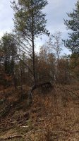 IMG_20160312_120415778.jpg