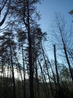 20190216_154353.jpg
