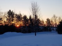 20190219_065726.jpg