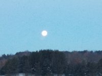 20190219_064159.jpg