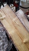 20190219_161857.jpg