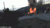 B3E74DD6-DBD1-4C74-B36E-7AB34931F249.gif