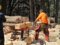 2016-04-24 04-24-2016 Chainsaw GTG 022.JPG