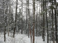 IMG_20190223_160046200.jpg