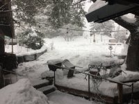 AEE32F4C-A06F-4627-91C7-47A0948B9EEF.jpeg