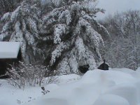 DSC00183.JPG