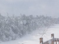 20190224_135916.jpg
