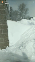 Screenshot_20190224-150351.png