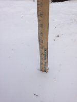 IMG_3121.JPG