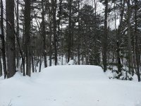 IMG_20190226_144737217.jpg
