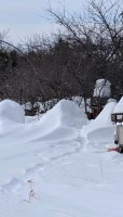 rps20190228_184815_577.jpg