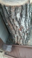 wood str.jpg