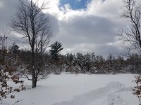 20190302_132624.jpg