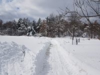 20190302_132645.jpg