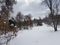 20190302_132631.jpg