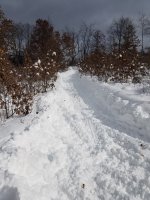 20190302_132730.jpg