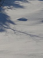 20190302_161855.jpg