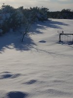20190302_161907.jpg