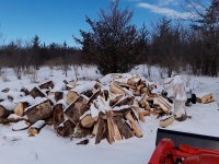 20190304_135320.jpg