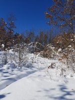 20190303_122644.jpg