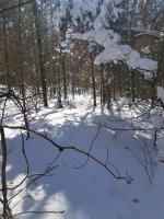 20190303_125244.jpg