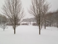 20190307_071017.jpg