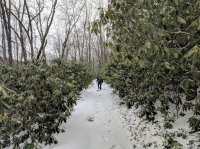 IMG_20190301_114406.jpg