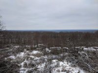 IMG_20190301_125237.jpg