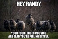 four legged cousins.jpg