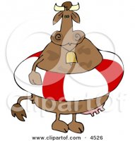 4526-Cow-Wearing-A-Life-Preserver-And-Bell.jpg