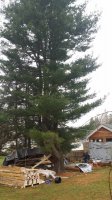 20160401_094957.jpg