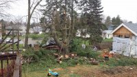 20160402_084203.jpg