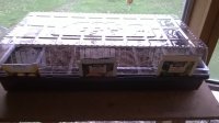 WP_20160404_001.jpg